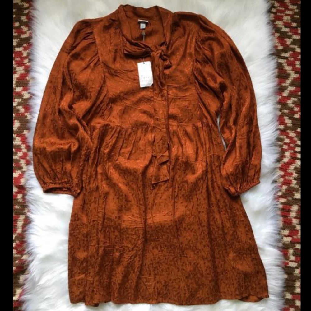 Plus size long sleeve dresss